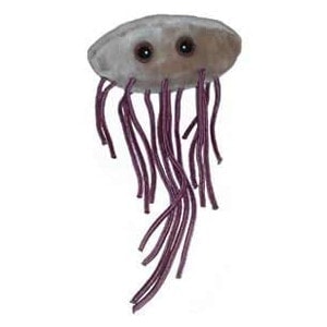 The SuperBugs Range E-Coli