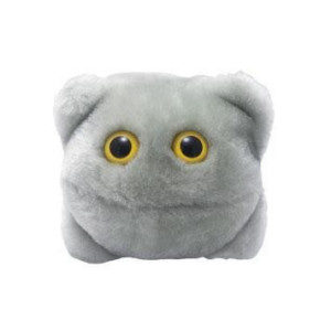 The SuperBugs Range Norovirus
