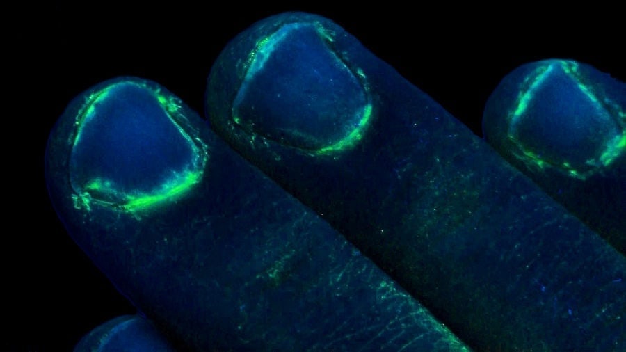 UV GERM Training lotion - close up