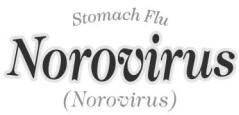 SuperBugs